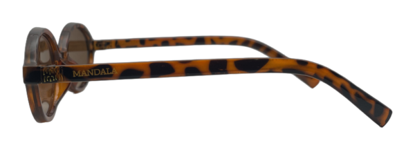 Óculos de Sol Canela Oval Tartaruga Lente Marrom